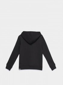 Худи The North Face Drew Peak P/O модель NF0A33H41E31 Фото