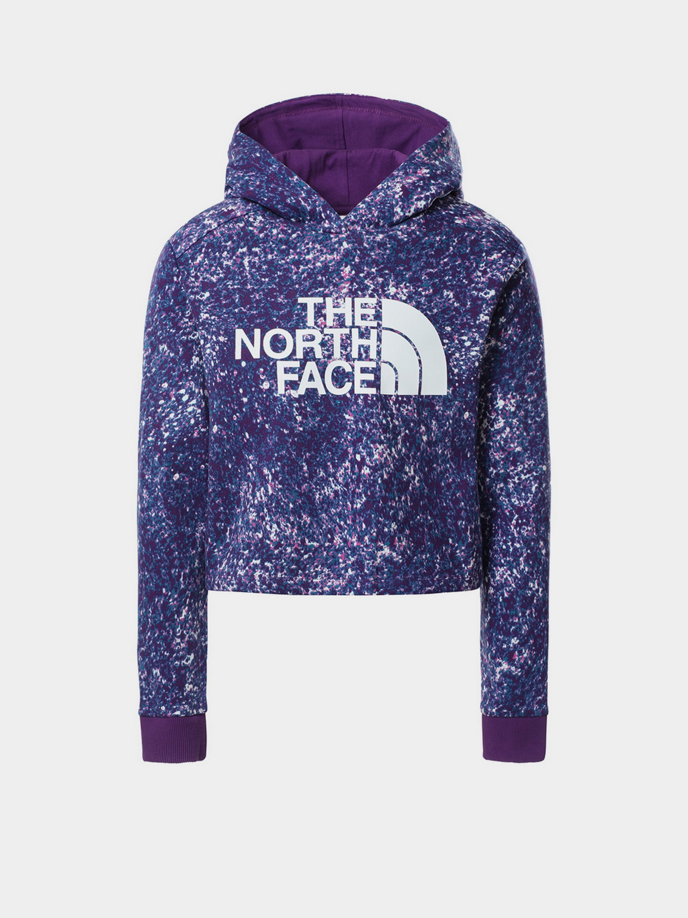 Худі The North Face Drew Peak Cropped P/O модель NF0A558S2H81 Фото