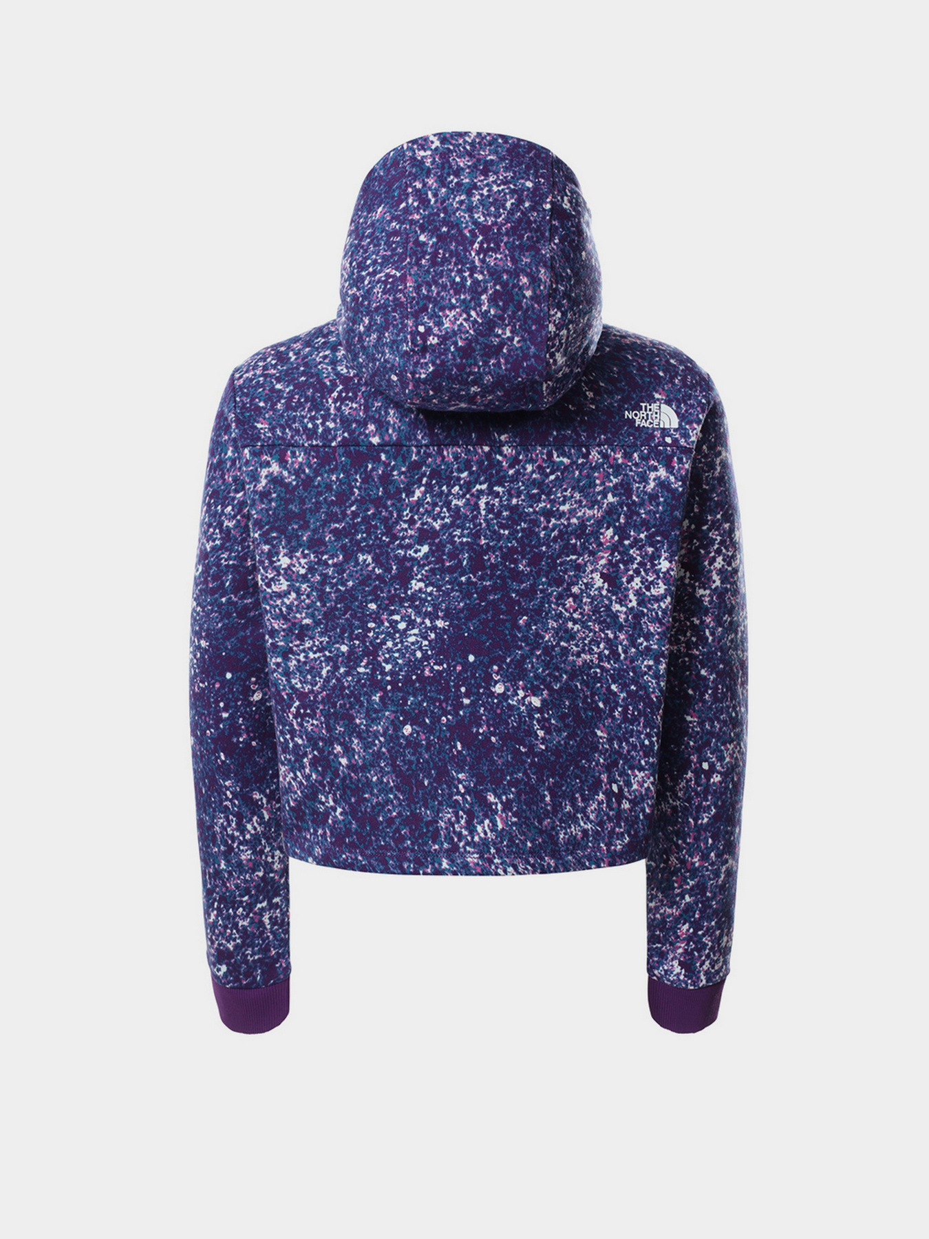 Худі The North Face Drew Peak Cropped P/O модель NF0A558S2H81 Фото