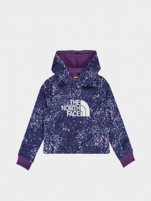 Худі The North Face Drew Peak Cropped P/O Модель NF0A558S2H81 Фото
