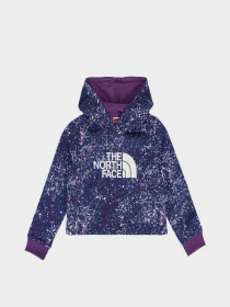 Худи The North Face Drew Peak Cropped P/O модель NF0A558S2H81 Худи The North Face Drew Peak Cropped P/O модель NF0A558S2H81 Фото