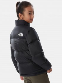 Зимняя куртка The North Face 1996 Retro Nuptse модель NF0A4TIMJK31 Фото