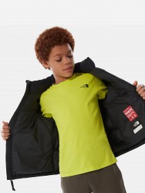 Зимняя куртка The North Face 1996 Retro Nuptse модель NF0A4TIMJK31 Фото