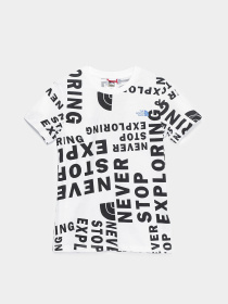 Футболки и поло The North Face Simple Dome модель NF0A2WAN2B21 Фото