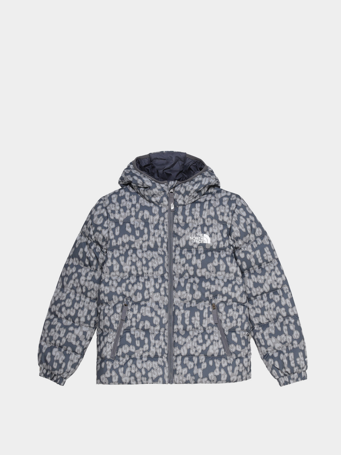 Зимова куртка The North Face Printed Hyalite Down модель NF0A5IYRV4N1 Фото