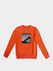 Світшот The North Face Box Crew модель NF0A37FYA6M1 Фото