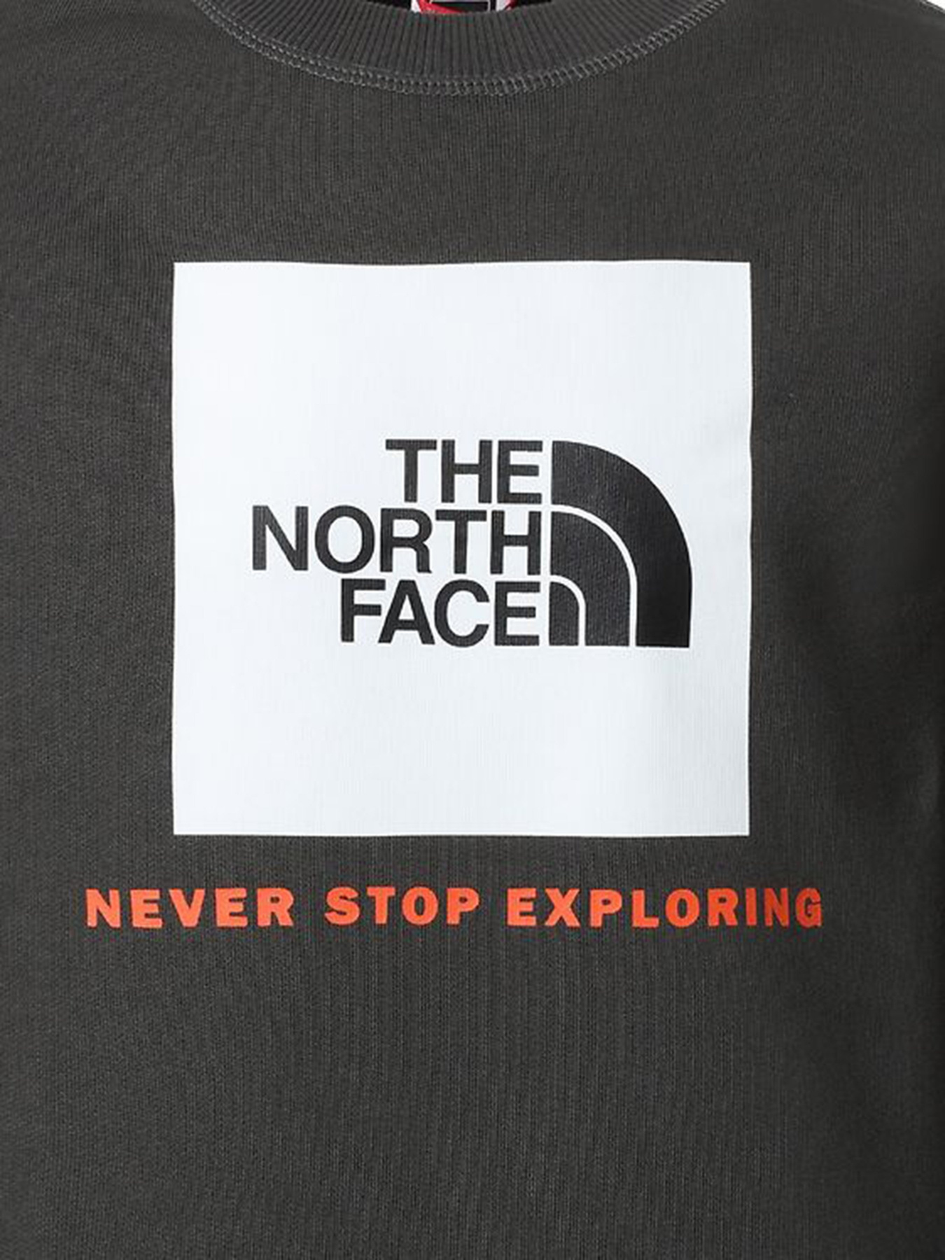 Свитшот The North Face Box Crew модель NF0A37FYUG31 Фото