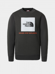 Свитшот The North Face Box Crew модель NF0A37FYUG31 Фото