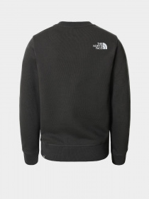 Свитшот The North Face Box Crew модель NF0A37FYUG31 Фото