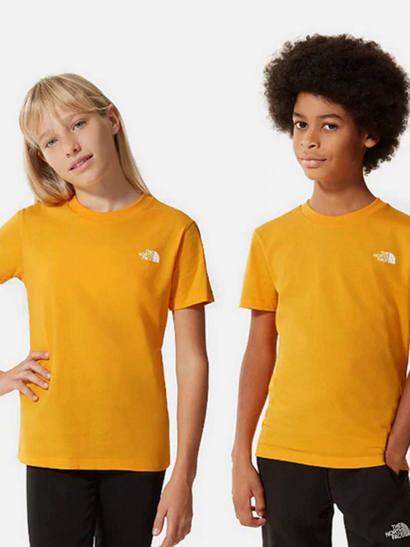 Футболка The North Face Simple Dome модель NF0A2WAN56P1 Фото