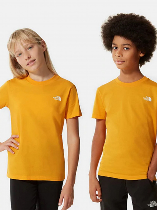 Футболка The North Face Simple Dome модель NF0A2WAN56P1 Фото