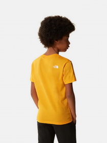 Футболка The North Face Simple Dome модель NF0A2WAN56P1 Фото