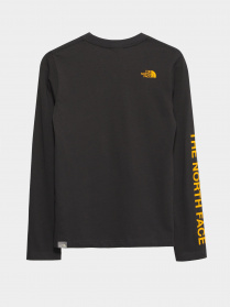 Лонгслів The North Face Simple Dome модель NF0A7R1J0C51 Фото