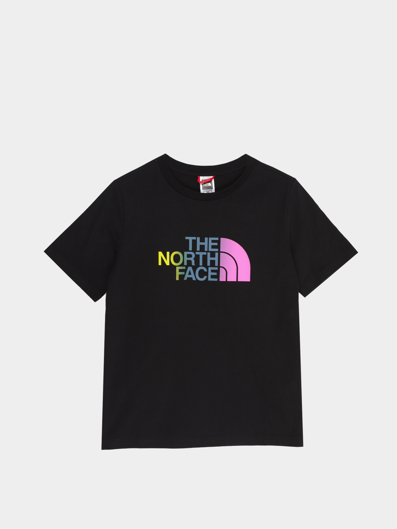 Футболки и поло The North Face Kids Comfort Fit модель NF0A55DBWZY1 Фото