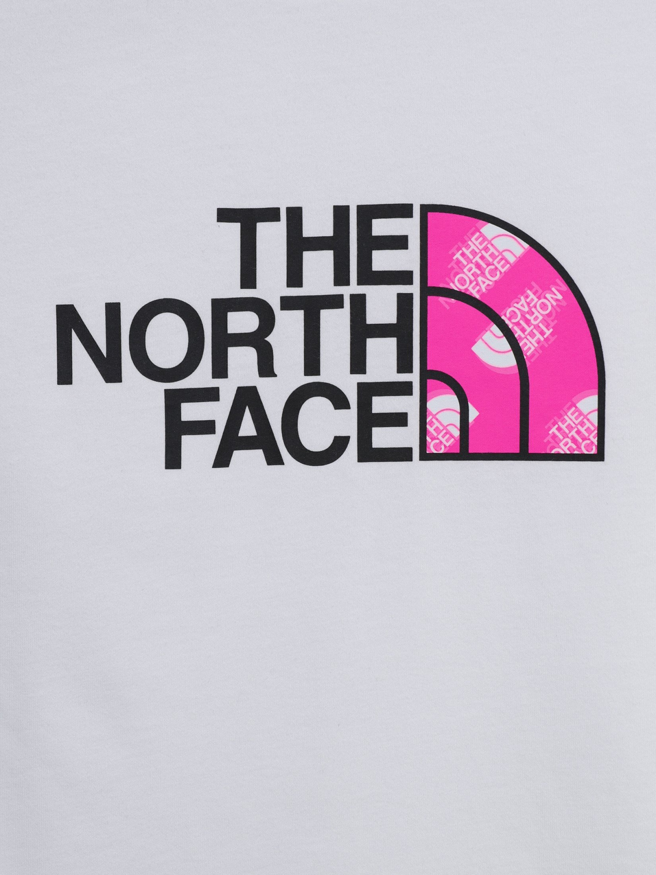 Футболка The North Face Kids Comfort Fit модель NF0A55DB6J11 Фото