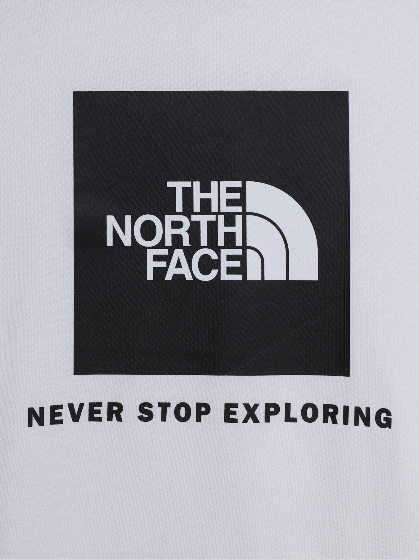 Футболки и поло The North Face TEENS S/S BOX TEE модель NF0A3BS2LA91 Фото