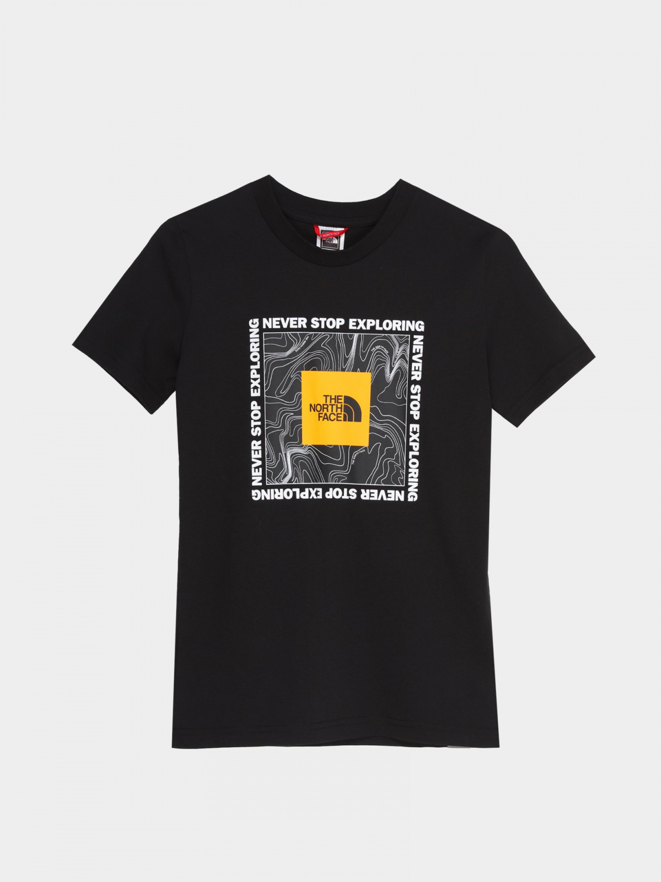 Футболка The North Face TEENS S/S BOX TEE модель NF0A3BS2YDD1 Фото