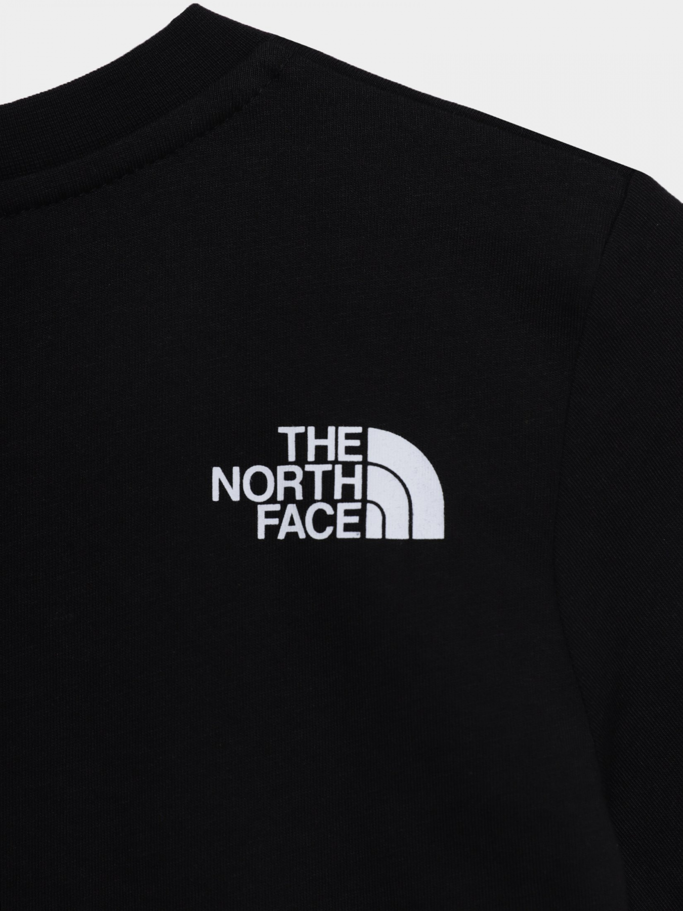 Футболка The North Face TEENS S/S BOX TEE модель NF0A3BS2YDD1 Фото