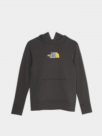 Худи The North Face Drew Peak Light модель NF0A7R1HS951 Фото