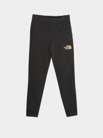 Спортивні штани The North Face Youth Drew Peak модель NF0A492WS951 Фото