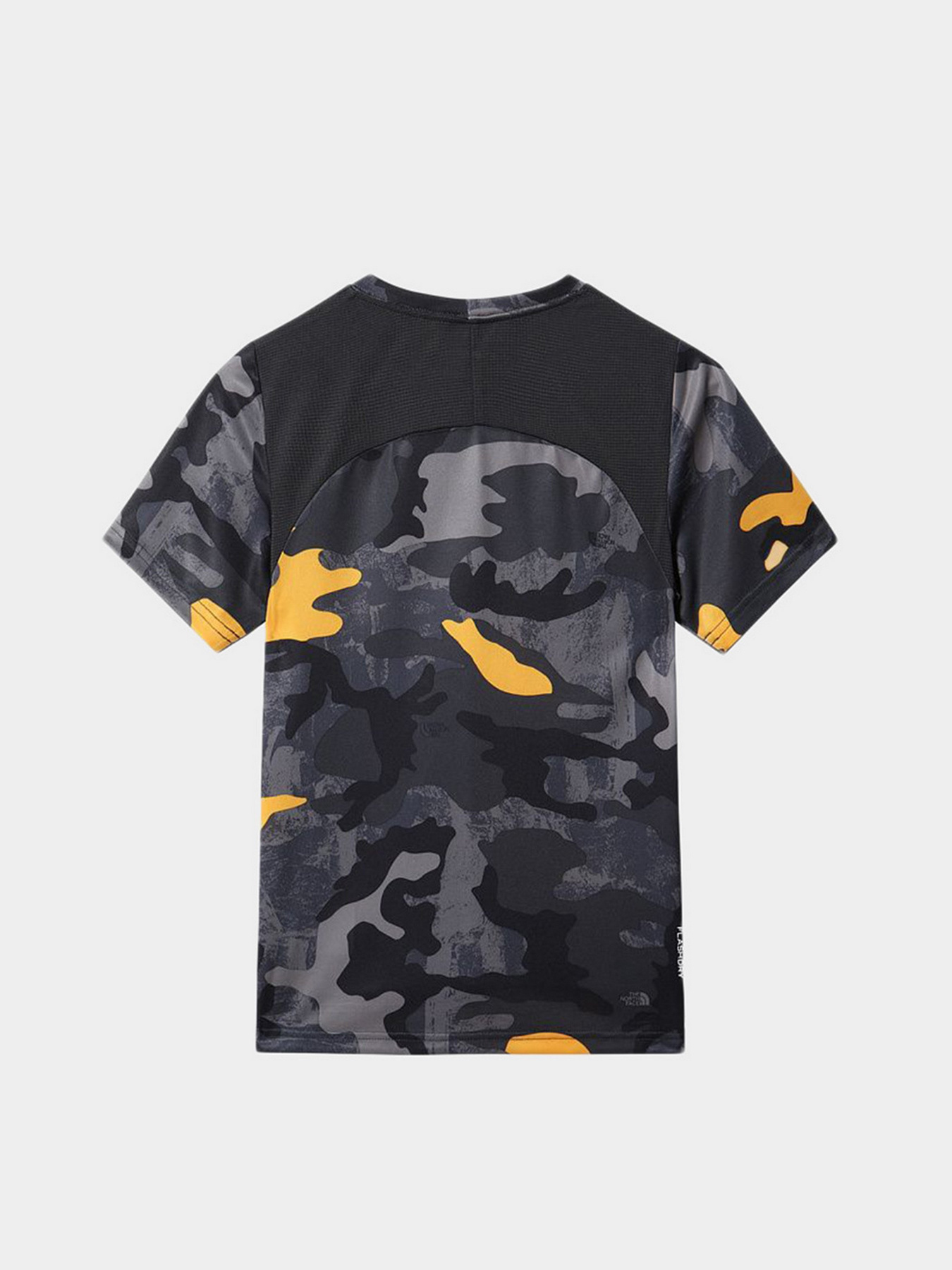 Футболка спортивная The North Face Printed Never Stop модель NF0A7QKC55T1 Фото