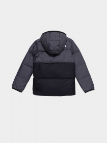 Зимняя куртка The North Face North Down модель NF0A7UMJDYY1 Фото