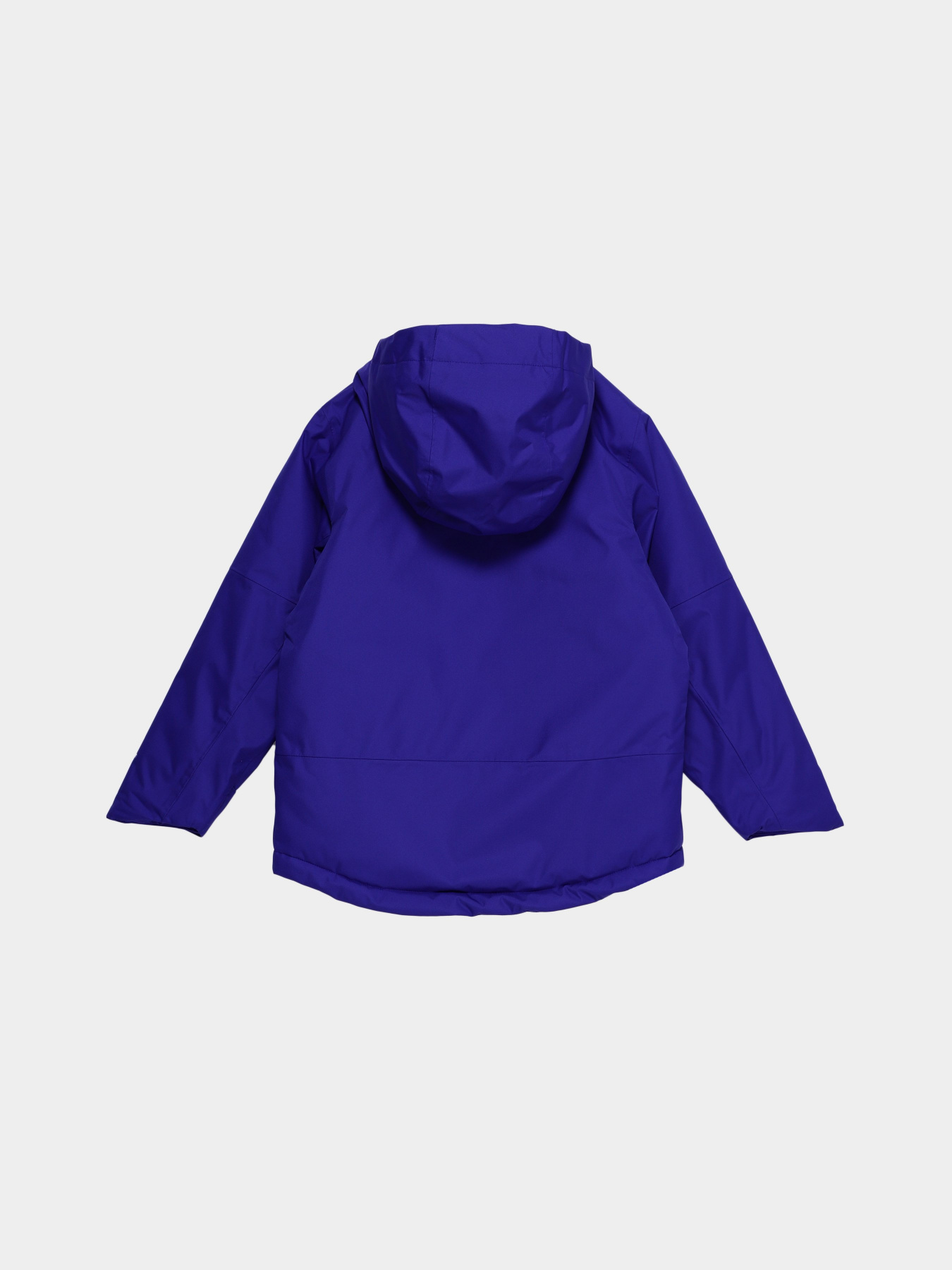 Демісезонна куртка The North Face Freedom модель NF0A7UN740S1 Фото