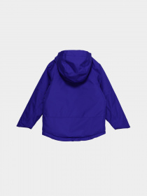 Демісезонна куртка The North Face Freedom модель NF0A7UN740S1 Фото