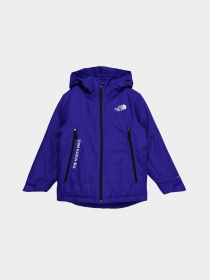 Демісезонна куртка The North Face Freedom модель NF0A7UN740S1 Фото