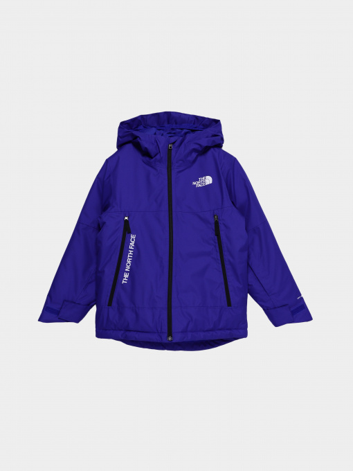 Демисезонная куртка The North Face Freedom модель NF0A7UN740S1 Фото