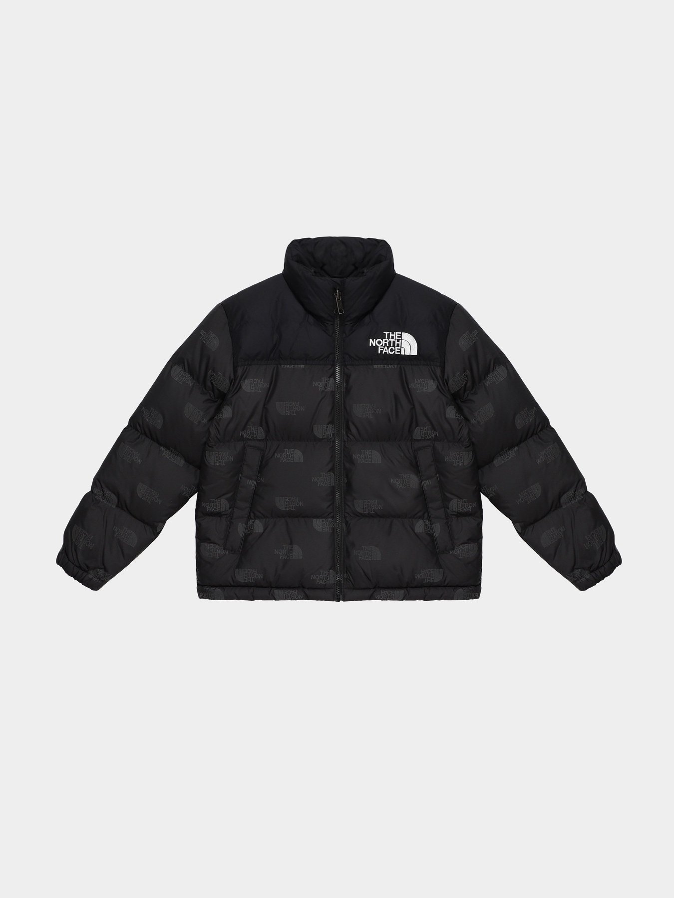 Пуховик The North Face Printed 1996 Retro Nuptse модель NF0A7WQM97M1 Фото