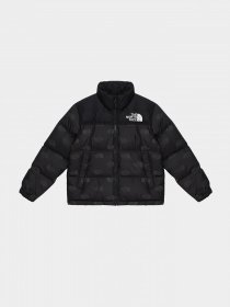 Пуховик The North Face Printed 1996 Retro Nuptse модель NF0A7WQM97M1 Фото
