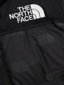 Пуховик The North Face Printed 1996 Retro Nuptse модель NF0A7WQM97M1 Пуховик The North Face Printed 1996 Retro Nuptse модель NF0A7WQM97M1 Фото
