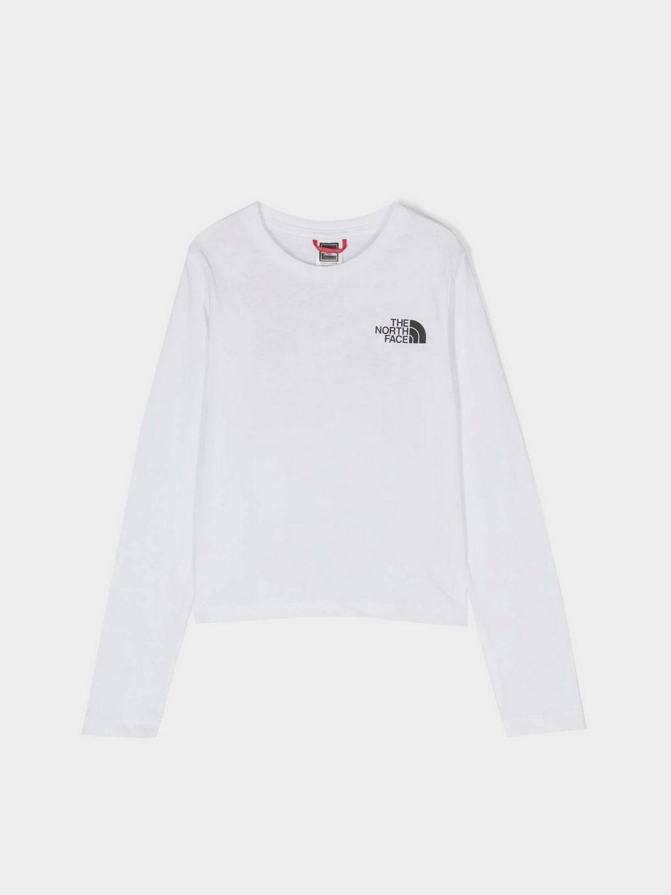 Лонгслив The North Face Graphic модель NF0A7X5FFN41 Фото