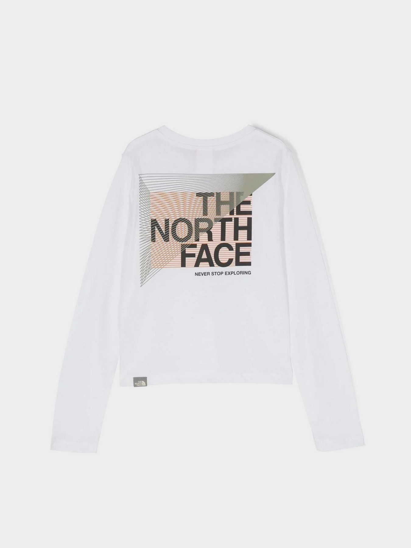 Лонгслів The North Face Graphic модель NF0A7X5FFN41 Фото