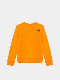 Світшот The North Face Box Kids' Crew модель NF0A7X5978M1 Фото