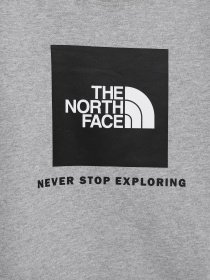 Свитшот The North Face Box Kids' Crew модель NF0A7X59DYX1 Фото