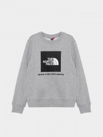 Свитшот The North Face Box Kids' Crew модель NF0A7X59DYX1 Фото