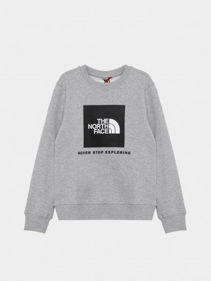 Свитшот The North Face Box Kids' Crew модель NF0A7X59DYX1 — фото - INTERTOP