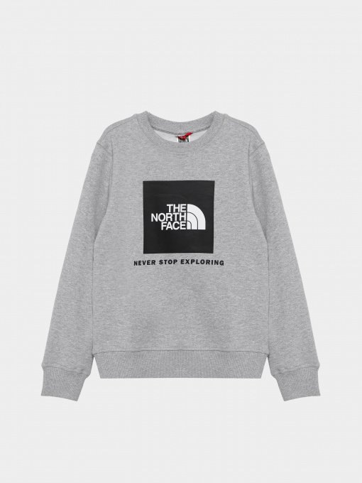 Свитшот The North Face Box Kids' Crew модель NF0A7X59DYX1 Фото