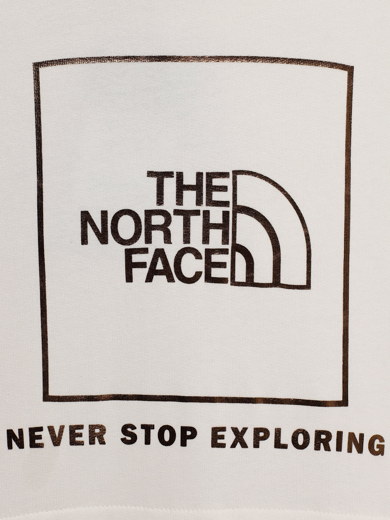 Худи The North Face Graphic Relaxed модель NF0A7X4TN3N1 Фото