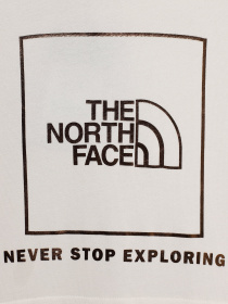 Худи The North Face Graphic Relaxed модель NF0A7X4TN3N1 Фото