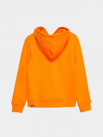 Худи The North Face DREW PEAK модель NF0A7X5578M1 Фото