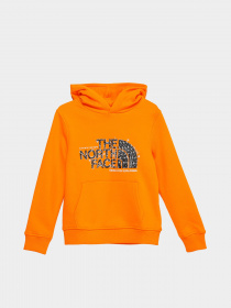 Худи The North Face DREW PEAK модель NF0A7X5578M1 Фото