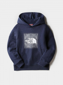 Худи The North Face Box Pullover модель NF0A7X568K21 Фото