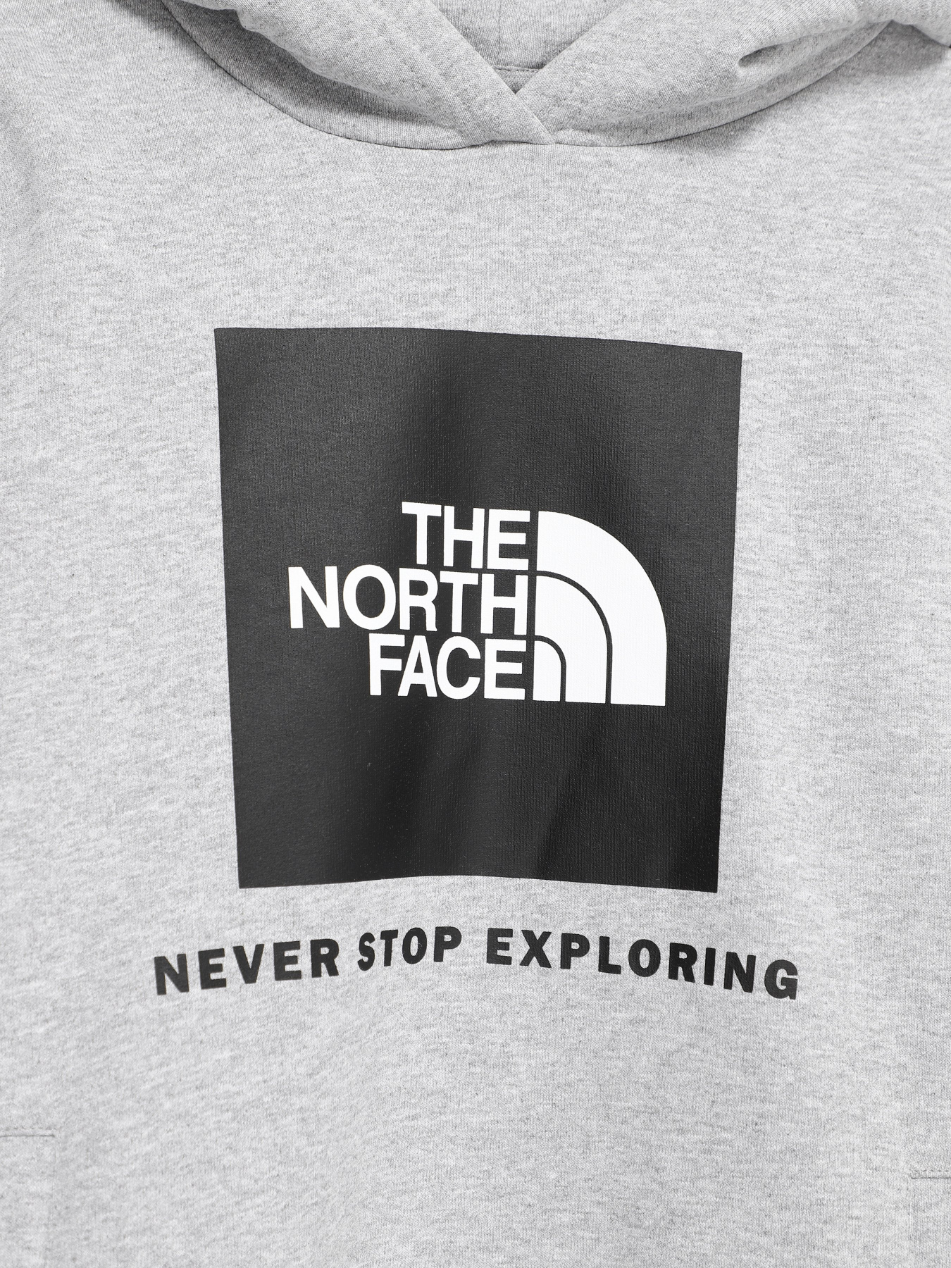 Худи The North Face Box модель NF0A7X56DYX1 Фото