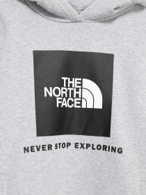 Худи The North Face Box модель NF0A7X56DYX1 Фото