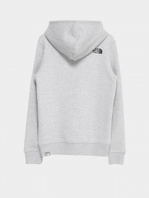 Худи The North Face Box модель NF0A7X56DYX1 Фото