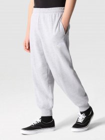 Штаны спортивные The North Face Oversized модель NF0A7X4WDYX1 Фото