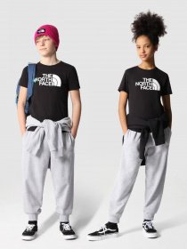 Штаны спортивные The North Face Oversized модель NF0A7X4WDYX1 Фото